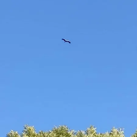 Domaine Des Cerisiers - Acces Direct Piste Cyclable Reliant Honfleur - Parking Prive Berville-sur-Mer