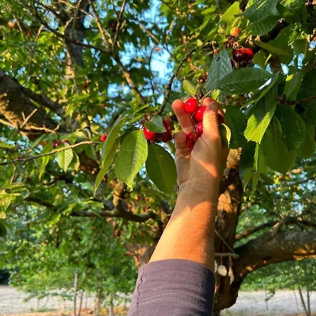 Domaine Des Cerisiers - Acces Direct Piste Cyclable Reliant Honfleur - Parking Prive Holiday home *