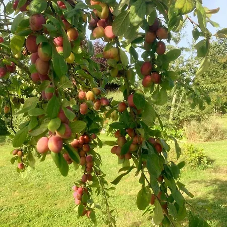 Holiday home Domaine Des Cerisiers - Acces Direct Piste Cyclable Reliant Honfleur - Parking Prive