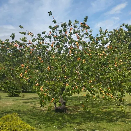 Domaine Des Cerisiers - Acces Direct Piste Cyclable Reliant Honfleur - Parking Prive Holiday home *