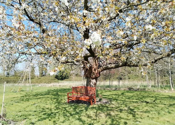 Domaine Des Cerisiers - Acces Direct Piste Cyclable Reliant Honfleur - Parking Prive *