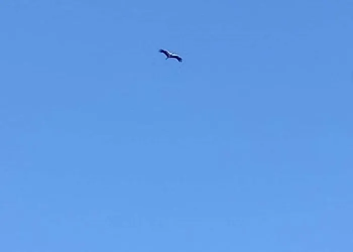 Domaine Des Cerisiers - Acces Direct Piste Cyclable Reliant Honfleur - Parking Prive Berville-sur-Mer