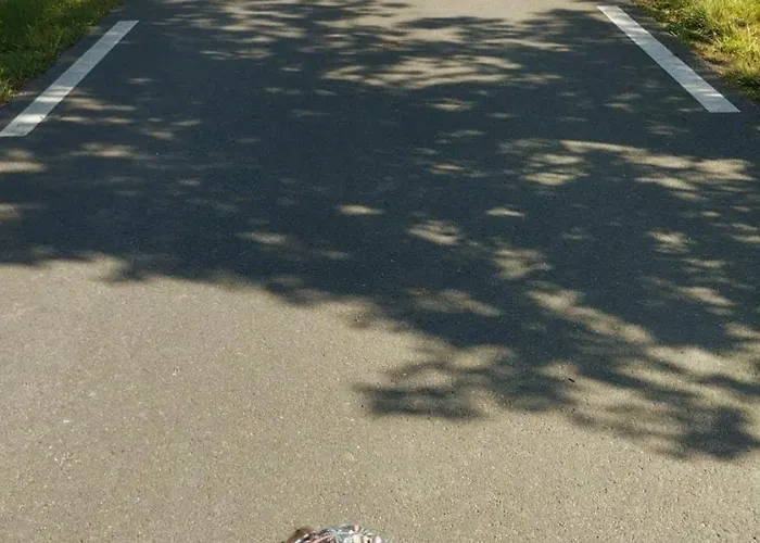 Domaine Des Cerisiers - Acces Direct Piste Cyclable Reliant Honfleur - Parking Prive Holiday home *