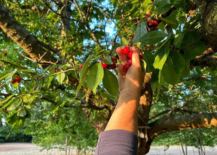 Domaine Des Cerisiers - Acces Direct Piste Cyclable Reliant Honfleur - Parking Prive Holiday home *