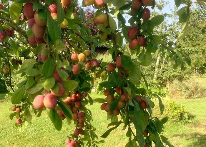 Holiday home Domaine Des Cerisiers - Acces Direct Piste Cyclable Reliant Honfleur - Parking Prive