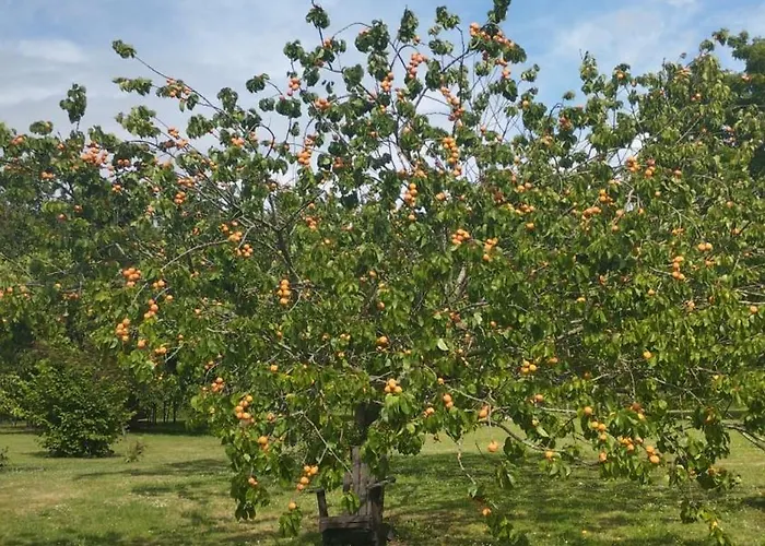 Domaine Des Cerisiers - Acces Direct Piste Cyclable Reliant Honfleur - Parking Prive Holiday home *