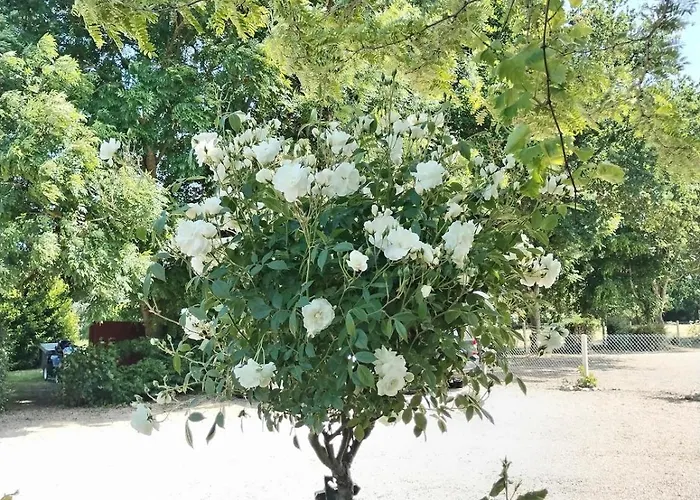 Domaine Des Cerisiers - Acces Direct Piste Cyclable Reliant Honfleur - Parking Prive Holiday home *